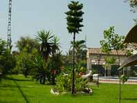Gardens